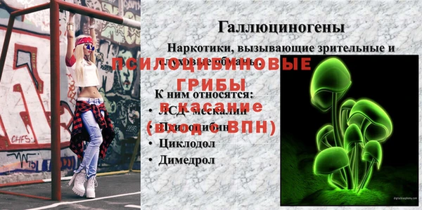 МДПВ Алексеевка
