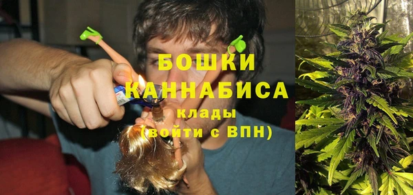 спайс Алзамай