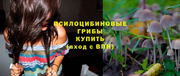 спайс Алзамай