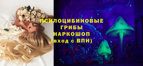 соль ск Алексин