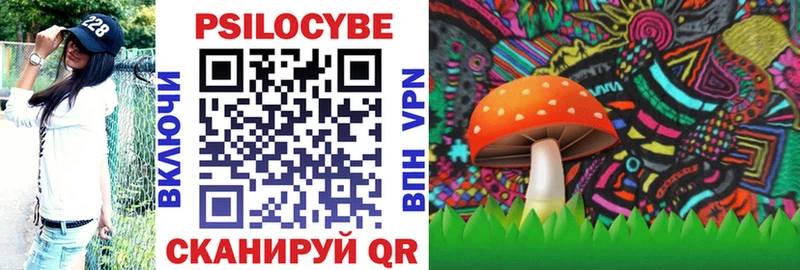 Псилоцибиновые грибы GOLDEN TEACHER  Купить  Белогорск 